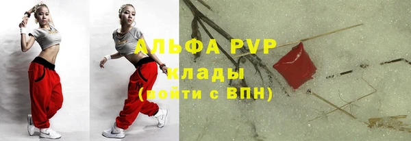 прущие крисы Зеленокумск
