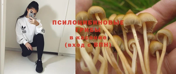 Альфа ПВП Зеленодольск